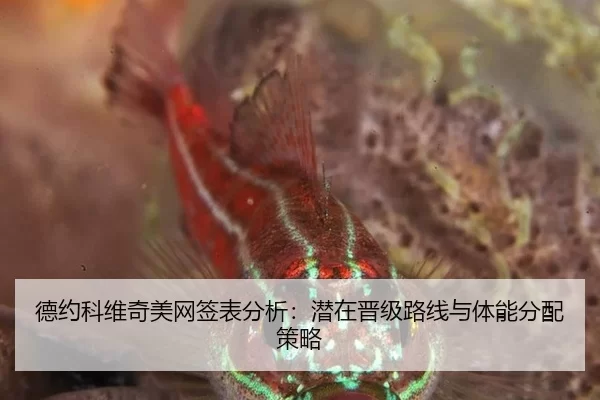 德约科维奇美网签表分析：潜在晋级路线与体能分配策略