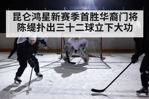 ice hockey game action