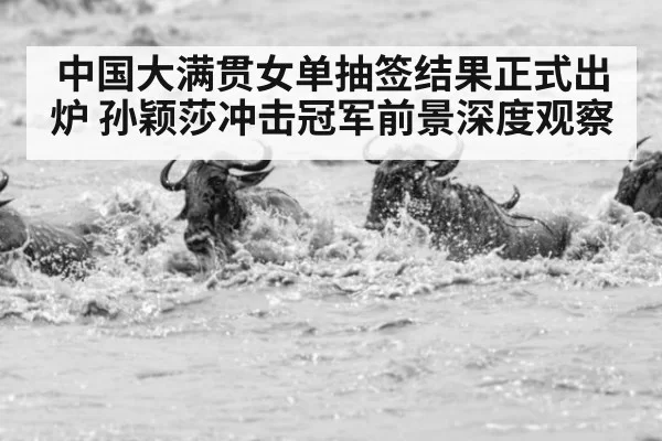 中国大满贯女单抽签结果正式出炉 孙颖莎冲击冠军前景深度观察